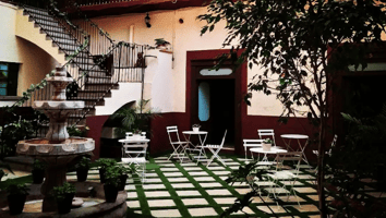 Jardín interno del bar