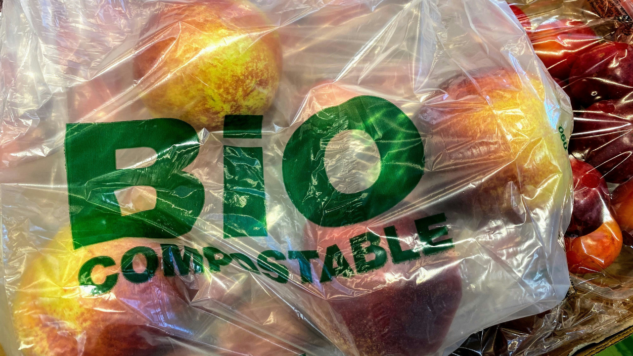 bolsa biodegradable 